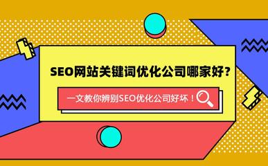 优化和seo有什么区别(如何选择seo公司)