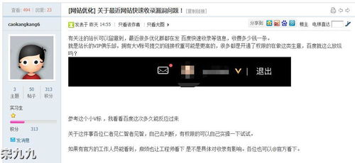 宋九九 seo网站不收录怎么办 说说最近的快速收录问题